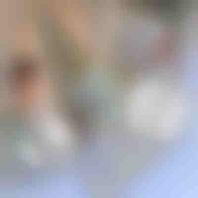 Лента за ремонт на мрежи против комари | INSECTAPE