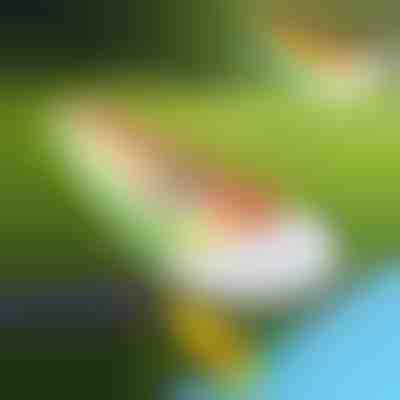 Надуваема водна пързалка (465x80cm) | REEFLY