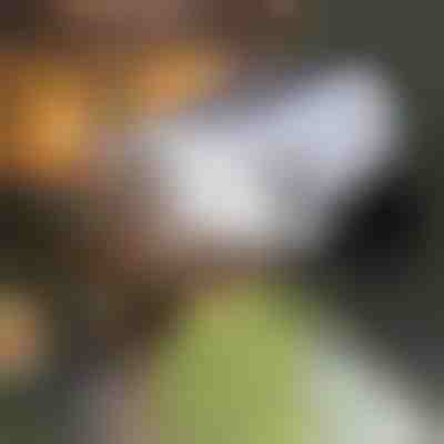 Соларен лъч със сензор за движение | LUMACAM