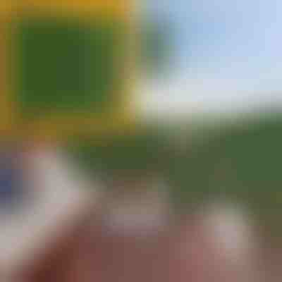 Панел с изкуствени листа | LEAFPANEL